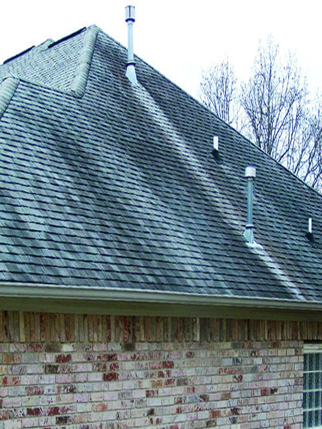 Do You Want a Clean Looking Roof
